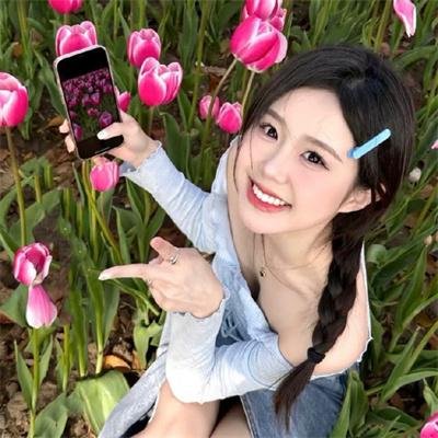蛋黄哥大冒险