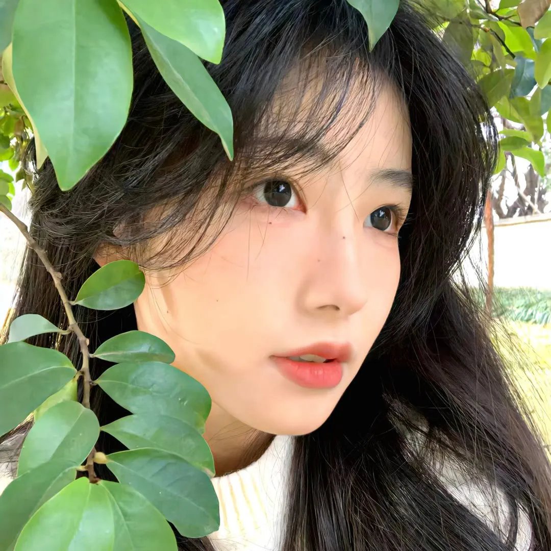 尚气与十环传奇