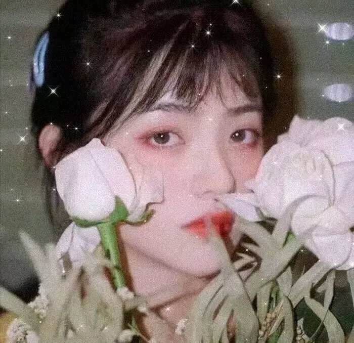 猫与苍蝇